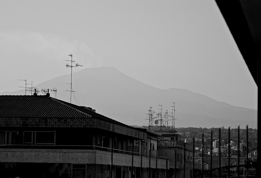 Apartment The Ugly View